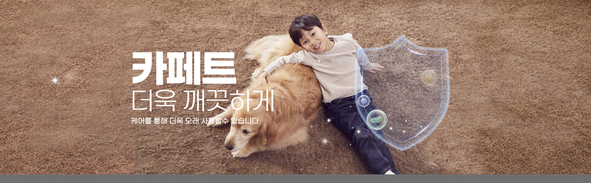 카펫 전문 클리닝